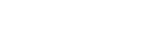 Grupo Bressiani